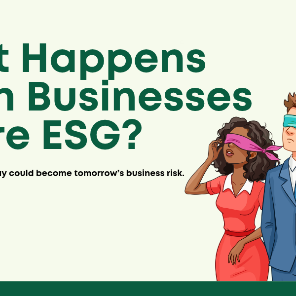 What Happens When Businesses Ignore ESG?